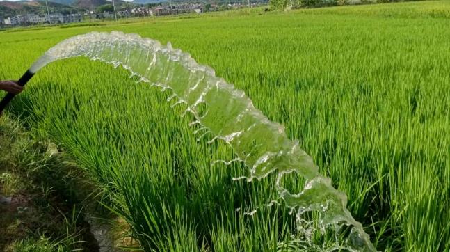 萍乡市水利部门积极迎战高温天气，加大抗旱设备投入